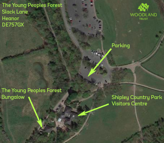 Young People's Forest
