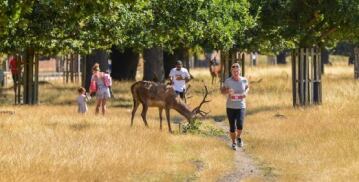 Richmond Park Fix Events