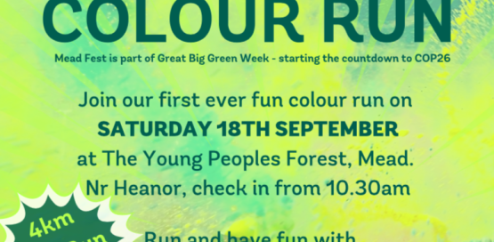 Mead Fest Colour Run 2021