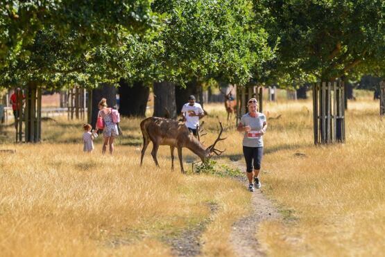 Richmond Park September 5k,10k and Half Marathon