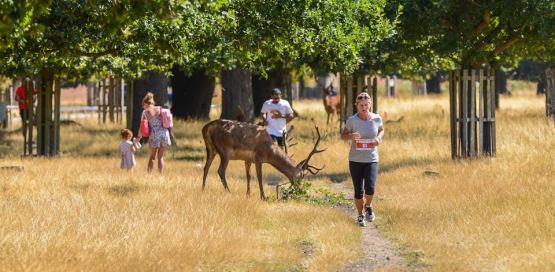 Run Richmond Park 5k and 10k Race 2 2020