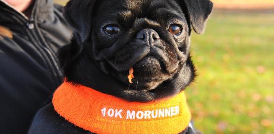 The 5k and 10k MoRun Nottingham 2018