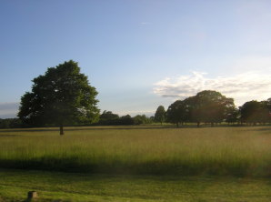 Richmond Park